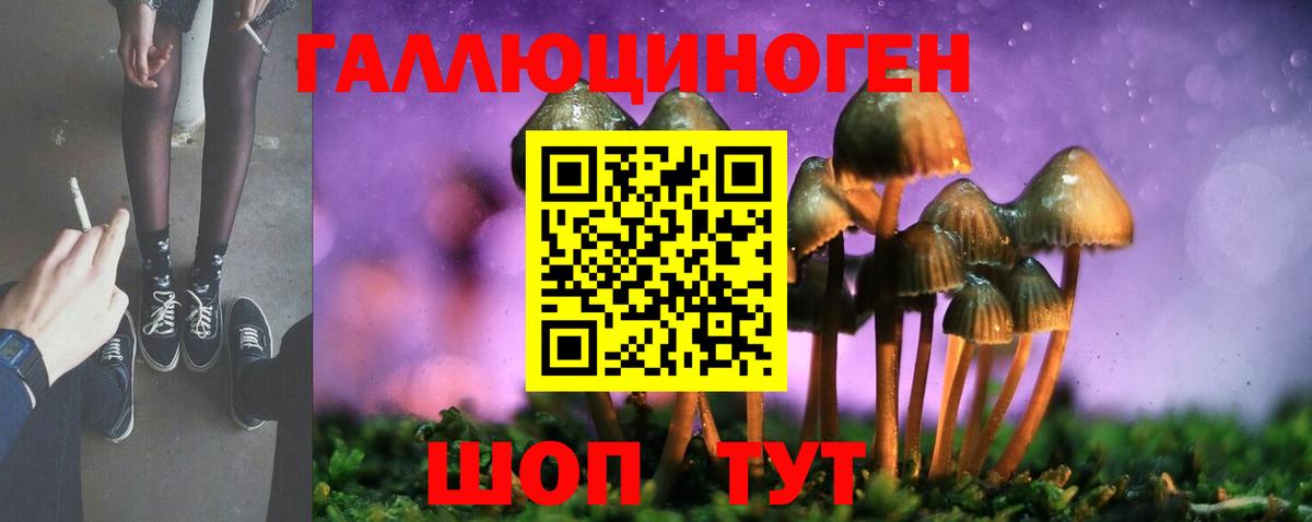 Галлюциногенные грибы Cubensis  Вход с VPN  Галлюциногенные грибы мухоморы  Сланцы 